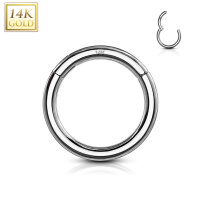 Piercing Ring Segmentring Clicker aus 14K Echtgold