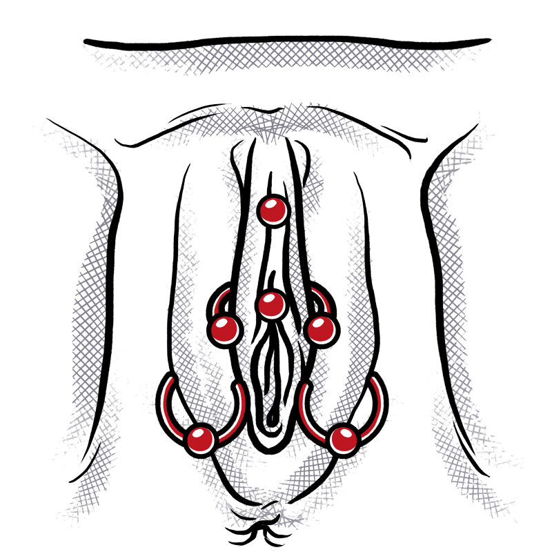 Bei intim frauen pircings Category:Female genital