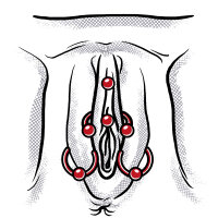 Klitorisvorhaut Piercings Übersicht
