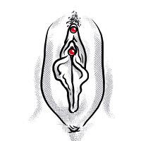 Klitorisvorhaut Vertikal Piercing