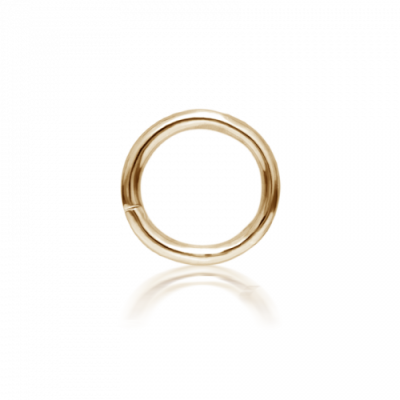 Maria Tash 6,5mm Seamless Ring