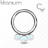 Titan Segmentring Clicker 3 Bezel Set Opals