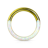 Segmentring Clicker Opal Set